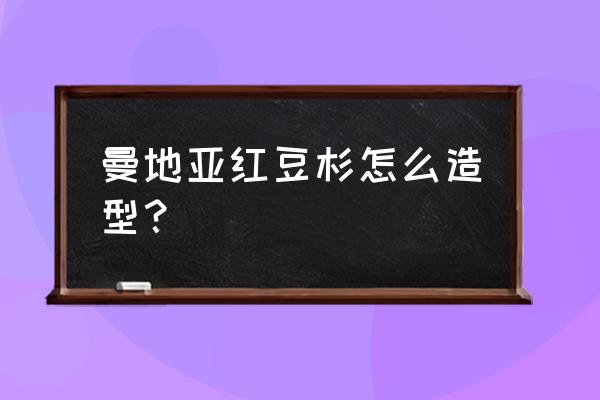 红豆杉怎么制作盆景 曼地亚红豆杉怎么造型？