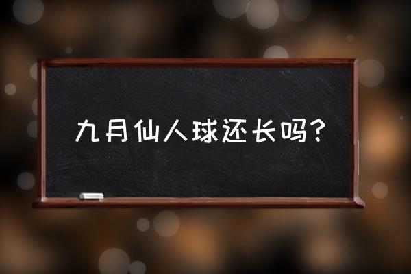 仙人球哪个季节长大的 九月仙人球还长吗？