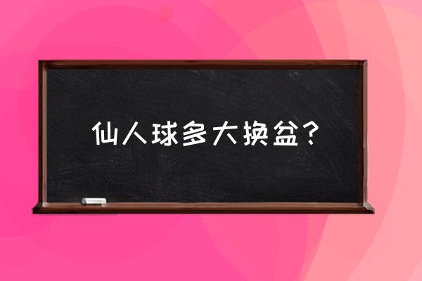 仙人球几年换盆 仙人球多大换盆？