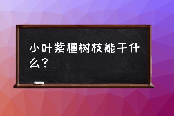 小叶紫檀树苗有什么作用 小叶紫檀树枝能干什么？