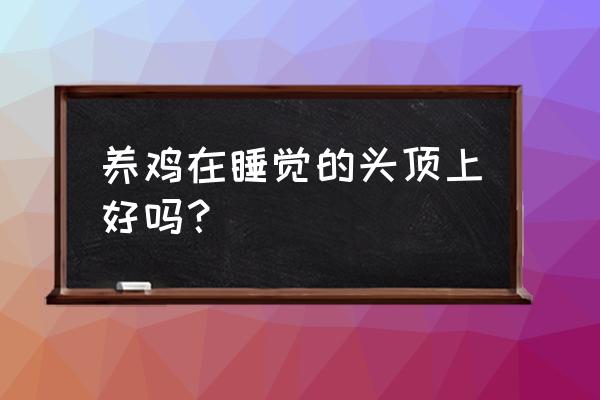 卧室顶上养鸡好不好 养鸡在睡觉的头顶上好吗？