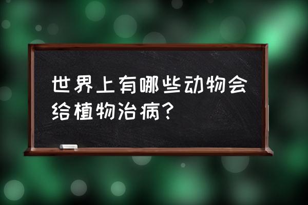 对花草树木有益的动物有哪些 世界上有哪些动物会给植物治病？