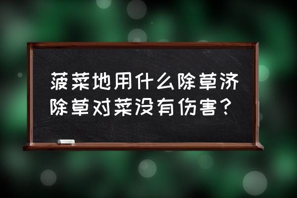 甜菜除草剂菠菜能不能用 菠菜地用什么除草济除草对菜没有伤害？