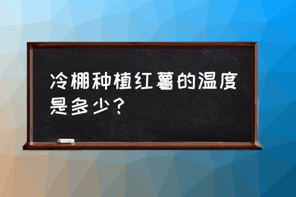 红薯冬季怎样种植技术 冷棚种植红薯的温度是多少？