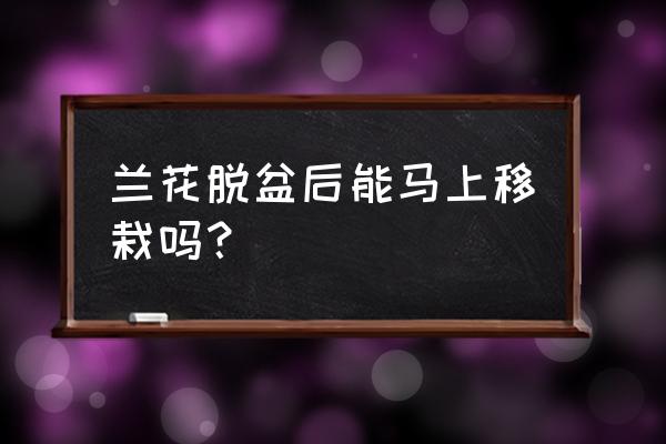 兰花把花盆打碎放两天栽能行吗 兰花脱盆后能马上移栽吗？