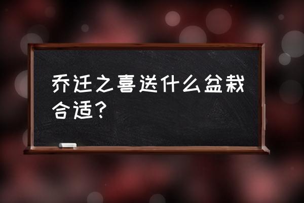 乔迁送什么盆景比较好 乔迁之喜送什么盆栽合适？