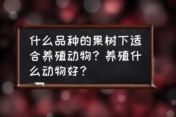 广西适合种什么果树下养鸡 什么品种的果树下适合养殖动物？养殖什么动物好？