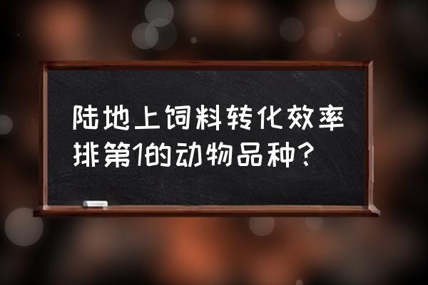 几种肉牛的饲料转化率是多少 陆地上饲料转化效率排第1的动物品种？