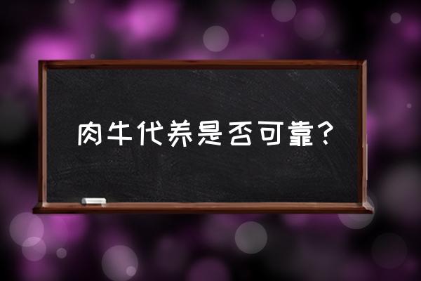 先养牛回收再付款有吗 肉牛代养是否可靠？