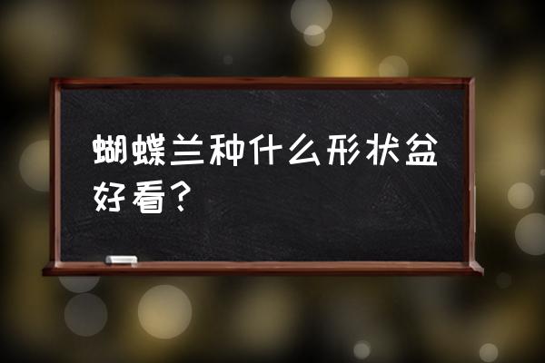 请教养蝴蝶兰用什么样的花盆好 蝴蝶兰种什么形状盆好看？