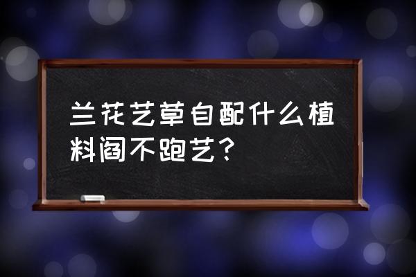 兰花艺草怎么养不退艺 兰花艺草自配什么植料阎不跑艺？