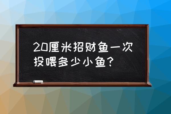 招财鱼一次为多少饲料 20厘米招财鱼一次投喂多少小鱼？