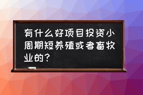 哪种畜牧业周期短回笼快 有什么好项目投资小周期短养殖或者畜牧业的？