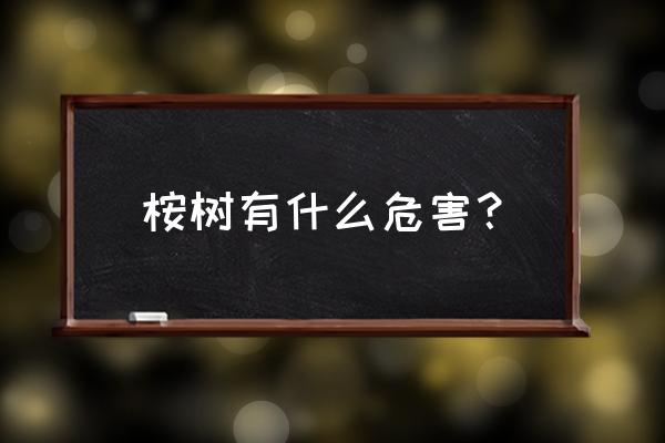 桉树木材有害吗 桉树有什么危害？