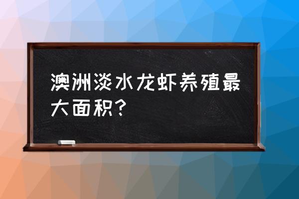 广东哪里有澳洲淡水龙虾养殖基地 澳洲淡水龙虾养殖最大面积？