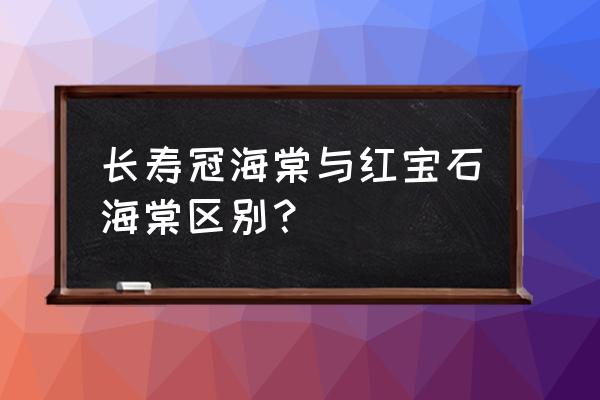 红宝石海棠分支点多高 长寿冠海棠与红宝石海棠区别？