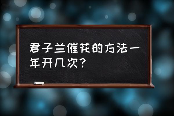 怎样让君子兰开花小窍门 君子兰催花的方法一年开几次？