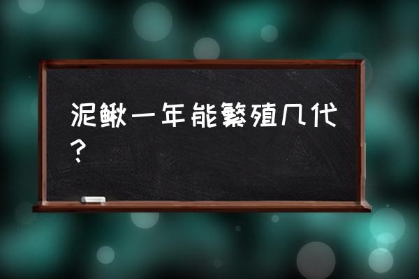 四川养殖泥鳅能出几发 泥鳅一年能繁殖几代？