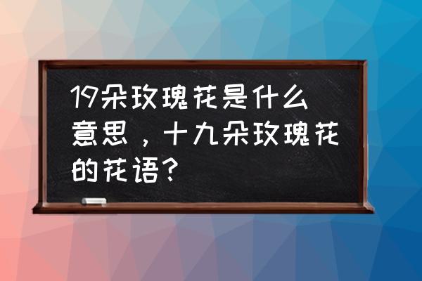 19朵玫瑰代表什么意思 19朵玫瑰花是什么意思，十九朵玫瑰花的花语？