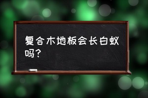 实木地板容易产生白蚂蚁吗 复合木地板会长白蚁吗？