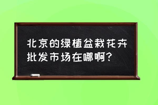 北京朝阳区哪里有批发花盆 北京的绿植盆栽花卉批发市场在哪啊？