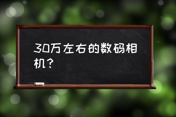 哈苏单反相机多少钱 30万左右的数码相机？