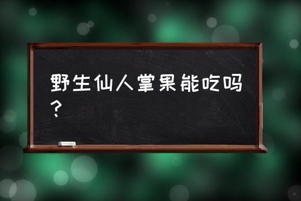 青的仙人掌果可以炖肉吗 野生仙人掌果能吃吗？