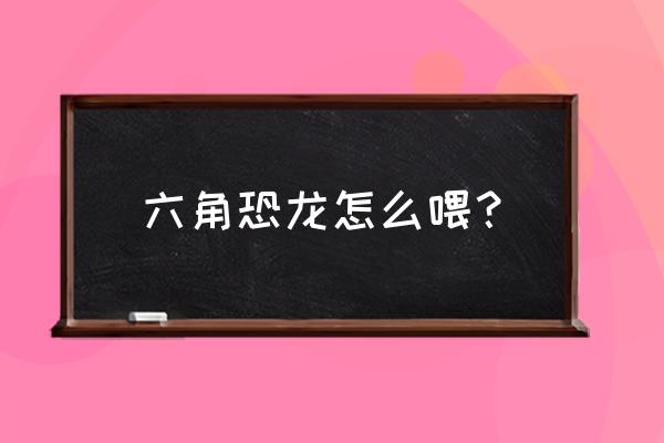 六角恐龙饲料怎么喂 六角恐龙怎么喂？