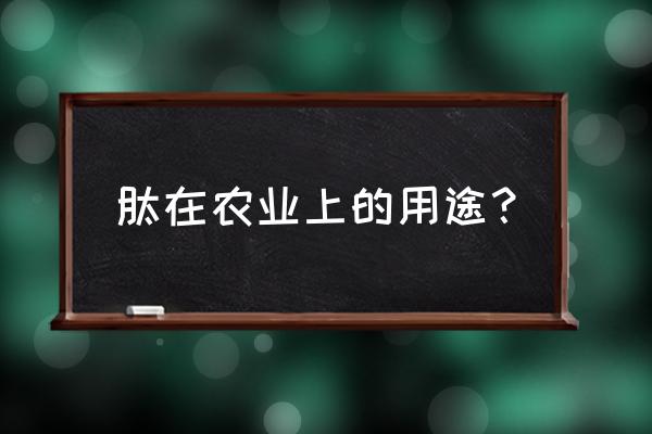 多肽叶面肥有什么功效 肽在农业上的用途？