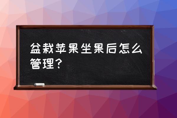 盆栽苹果树挂果要施什么肥 盆栽苹果坐果后怎么管理？