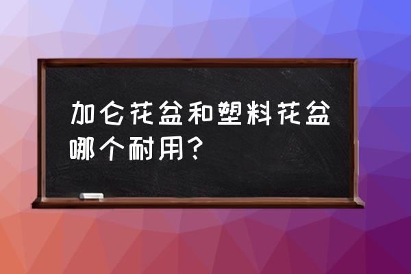 什么材质花盆耐用 加仑花盆和塑料花盆哪个耐用？