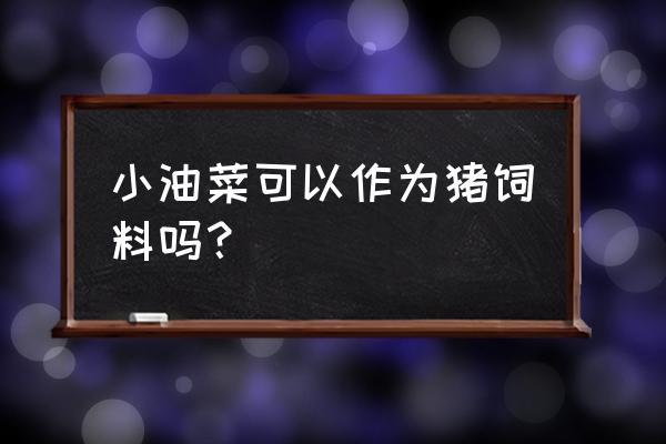 饲料油菜是什么意思 小油菜可以作为猪饲料吗？