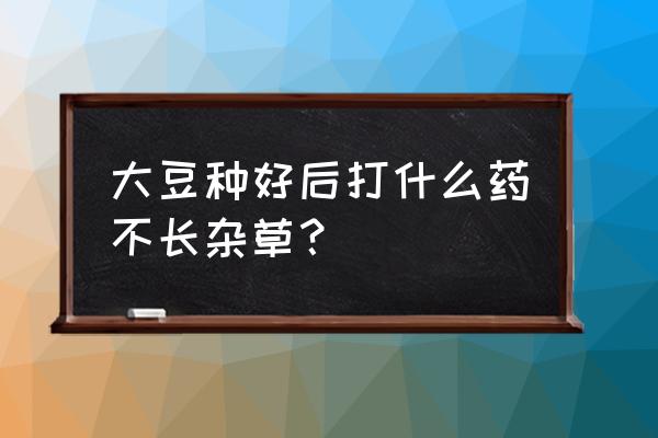 黄豆播种后能喷除草剂吗 大豆种好后打什么药不长杂草？