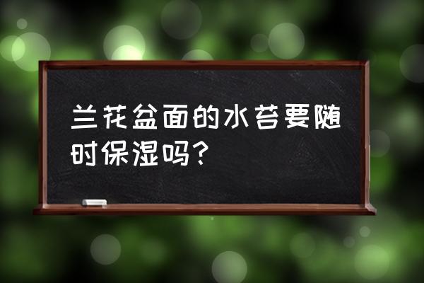 放在兰花盆上保湿用什么好处 兰花盆面的水苔要随时保湿吗？