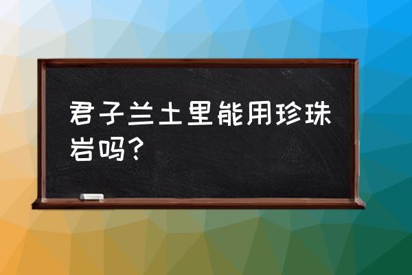 君子兰能加珍珠岩吗 君子兰土里能用珍珠岩吗？