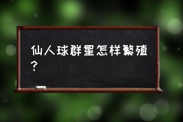 仙人球的子球怎么繁殖 仙人球群星怎样繁殖？