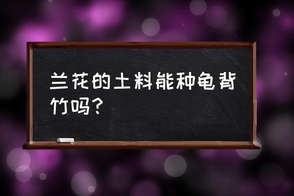 龟背竹能用兰花土养吗 兰花的土料能种龟背竹吗？