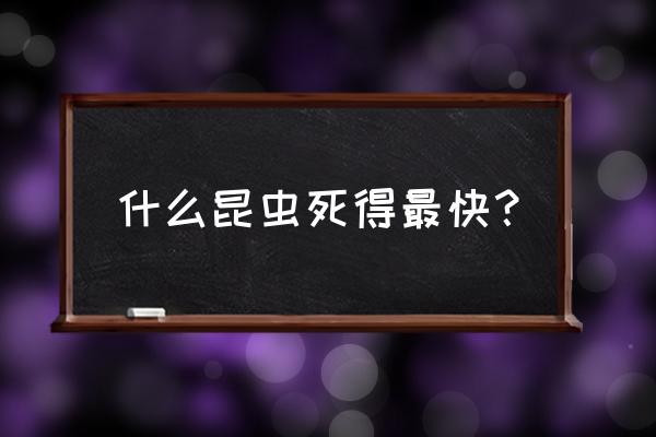 死虫子核心训练 什么昆虫死得最快？