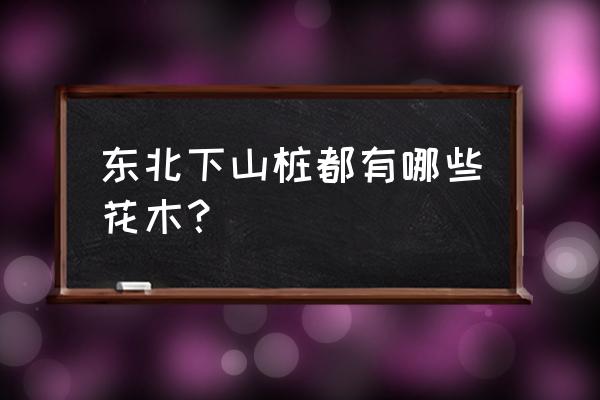 落地生根的叶子有什么功效 东北下山桩都有哪些花木？