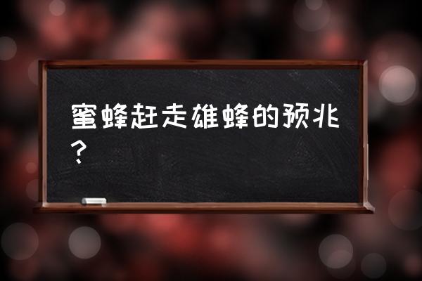 被蜜蜂蛰了有什么好处和坏处 蜜蜂赶走雄蜂的预兆？