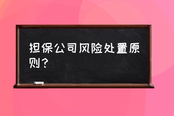 担保公司业务操作制度 担保公司风险处置原则？