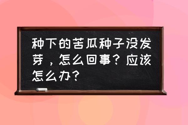 手机迅雷怎么打不开了 种下的苦瓜种子没发芽，怎么回事？应该怎么办？