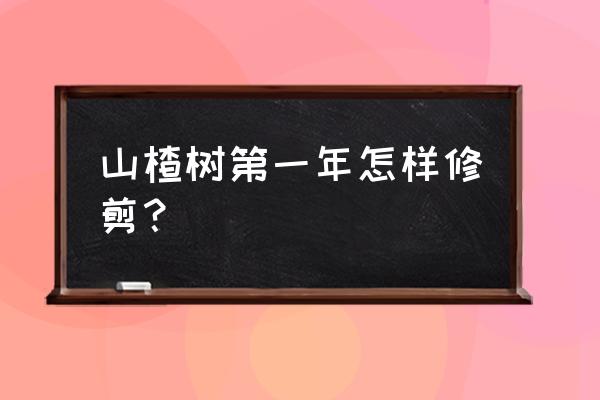 山楂树什么时候修剪最好 山楂树第一年怎样修剪？