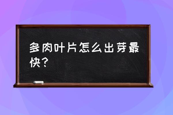 多肉蒂亚的繁殖方法和注意事项 多肉叶片怎么出芽最快？