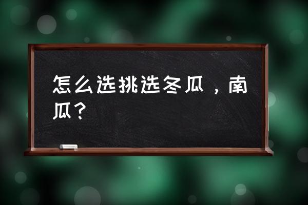 冬瓜是买大的还是买小的 怎么选挑选冬瓜，南瓜？