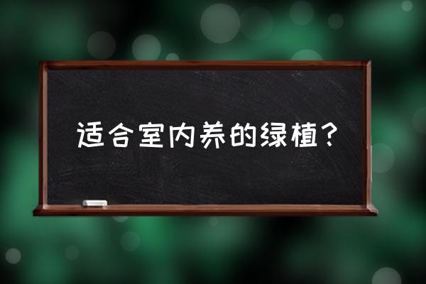 卧室适合放什么花卉 适合室内养的绿植？