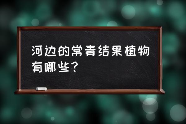 河边适合种什么经济作物最赚钱 河边的常青结果植物有哪些？