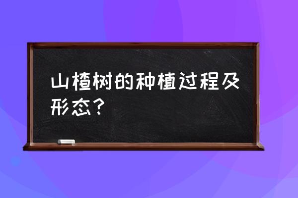 山楂树最佳种植时间 山楂树的种植过程及形态？