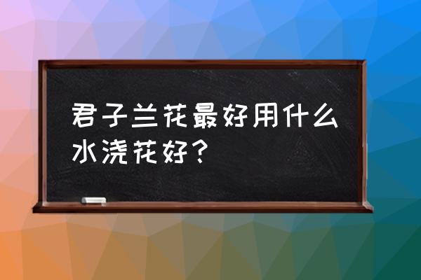 水养君子兰的正确配方 君子兰花最好用什么水浇花好？