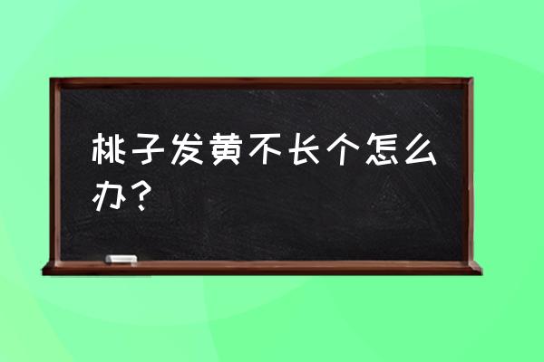 桃树叶发黄有什么办法能治好 桃子发黄不长个怎么办？